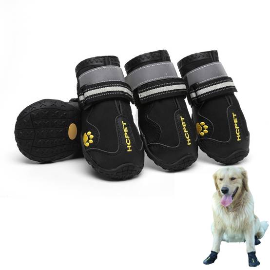 Bottes de protection pour chien l - IntiMeg - Image 1