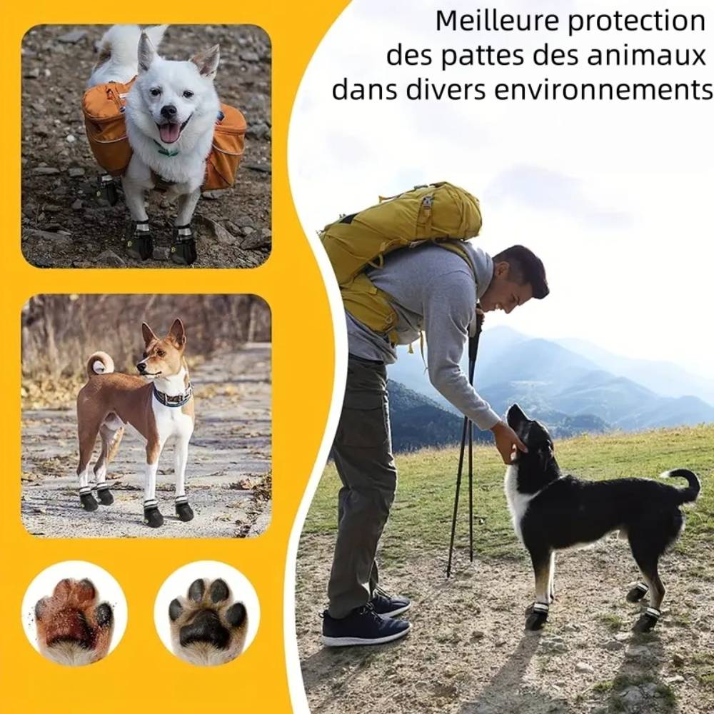 Bottes de protection pour chien l - IntiMeg - Image 5