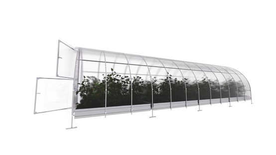 KLASIKA GREENHOUSES - Serre KLASIKA EASY 3 x 8 m (24 m²), 4 mm avec revêtement en polycarbonate - Image 4