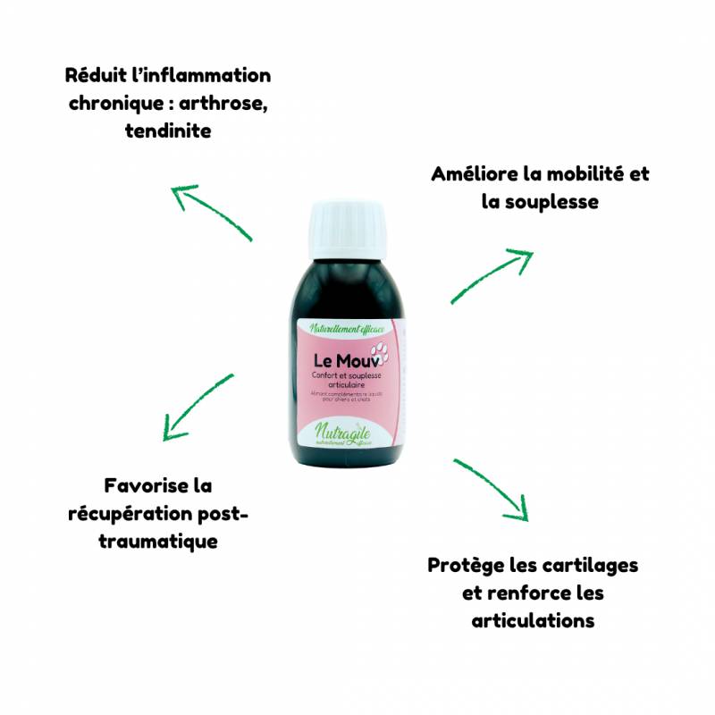 Complément articulation & arthrose pour chien & chat | Nutragile - Image 4