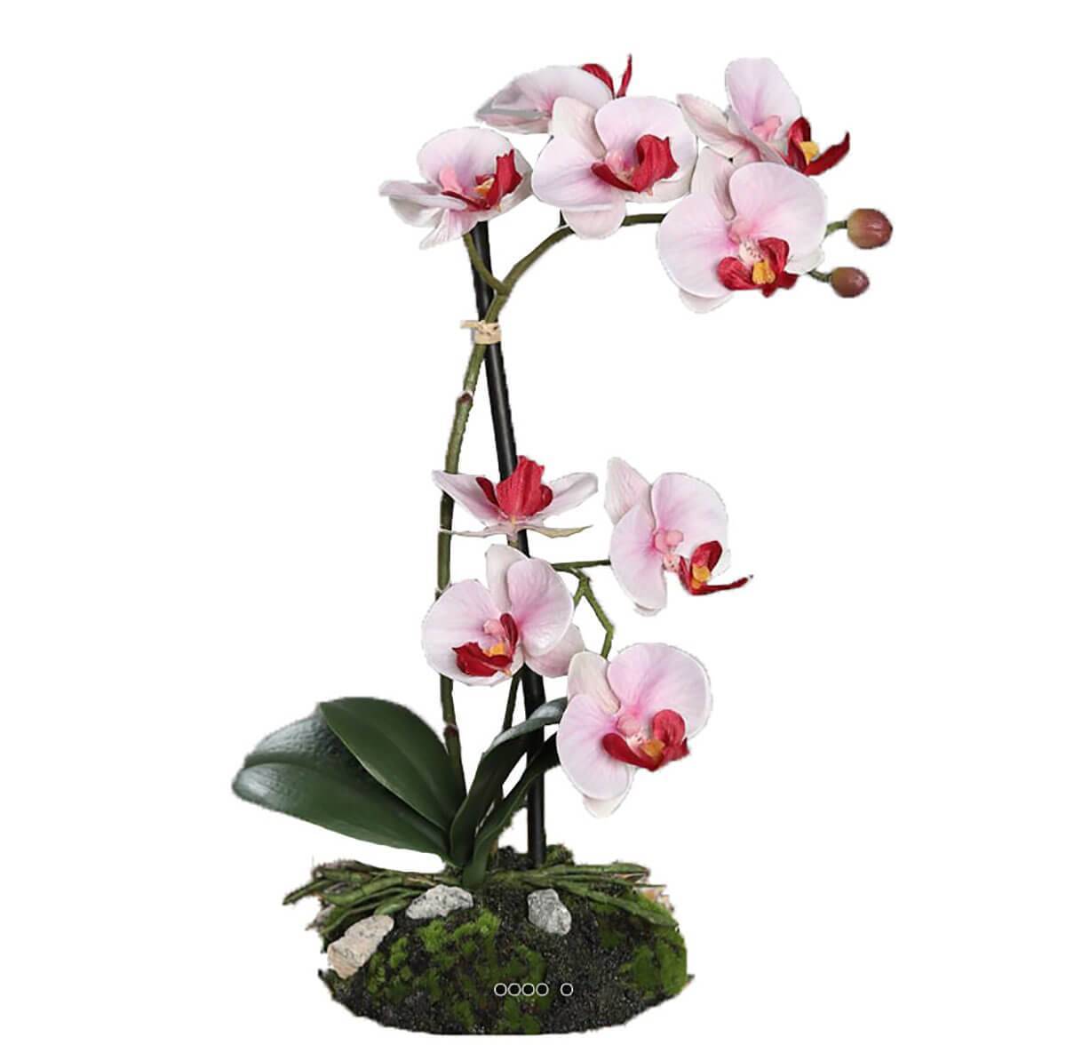 Artificielles - Orchidee factice 2 hampes sur motte H33cm 9 fleurons tissu Rose-crème - couleur: Rose-crème - Imagen 1