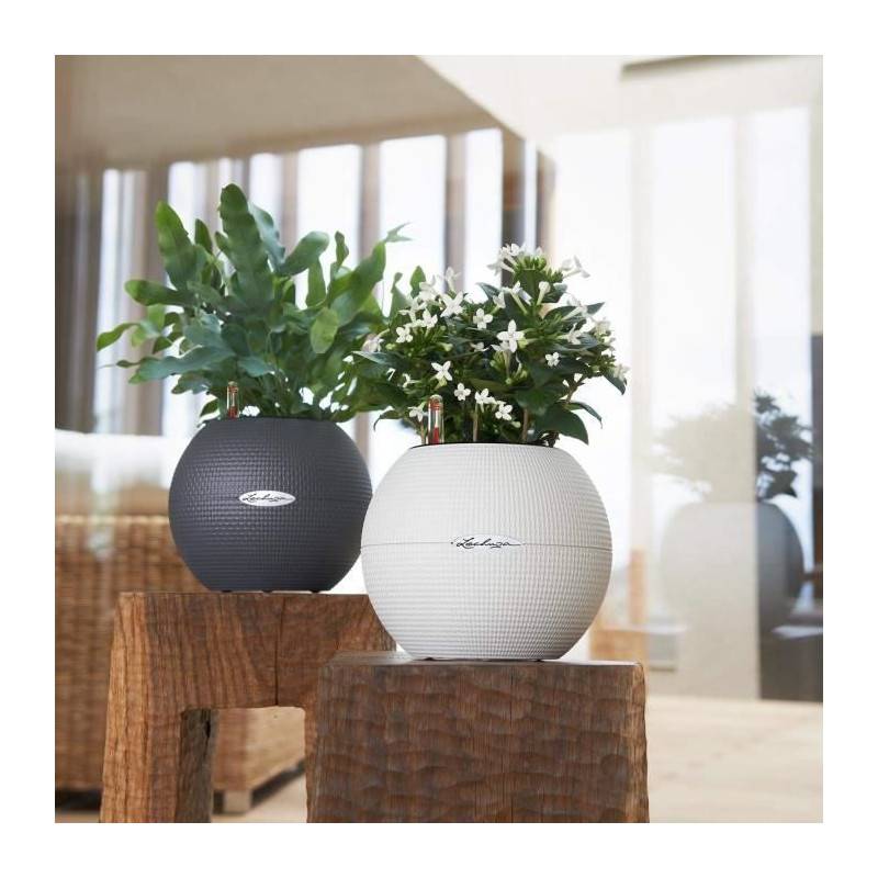 Lechuza - Lechuza Jardiniere Puro Color 50 All-in-one Diametre 50 Cm Ardoise 446116 - Imagen 4