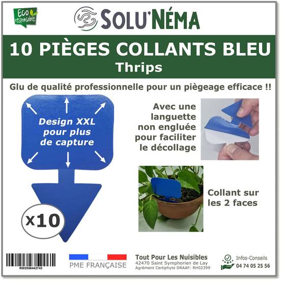 Solu'Néma - 10 Pièges Collants Bleus pour les Thrips, Moucherons, Design XXL - Image 1