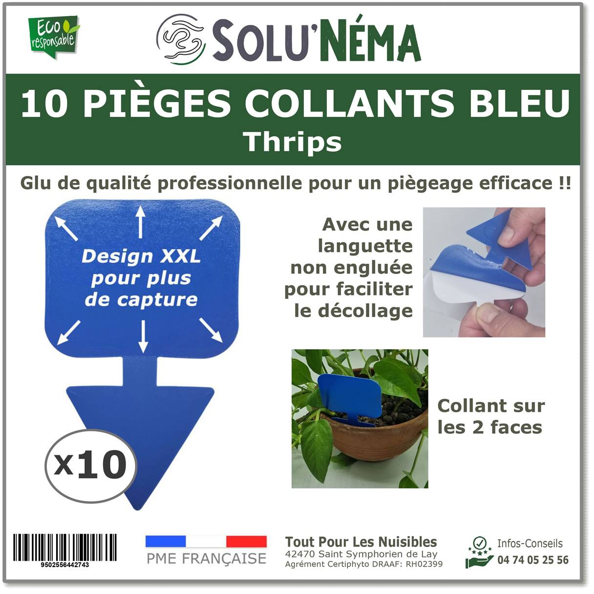 Solu'Néma - 10 Pièges Collants Bleus pour les Thrips, Moucherons, Design XXL