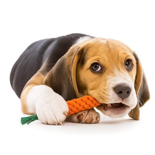 ensemble objet à mâcher pour chien, remorqueur - 25384 - Image 9