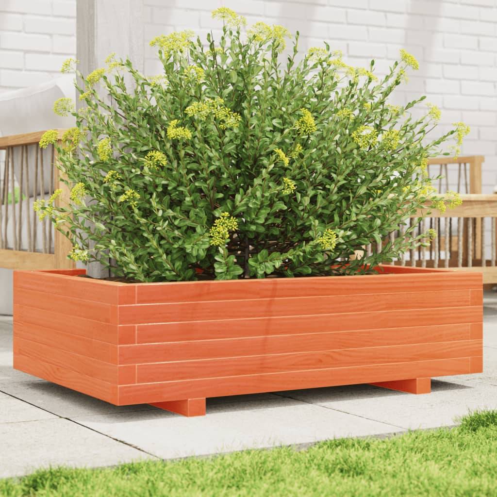 Jardinière | Pot de fleurs | Cache-pot | Bac à fleurs cire marron 90x60x26,5 cm bois de pin massif - Image 2