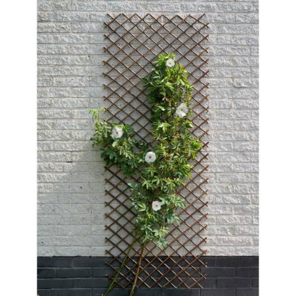 Nature - Treillis extensible - NATURE - En osier FSC naturel - 90 x 180 cm - Image 2