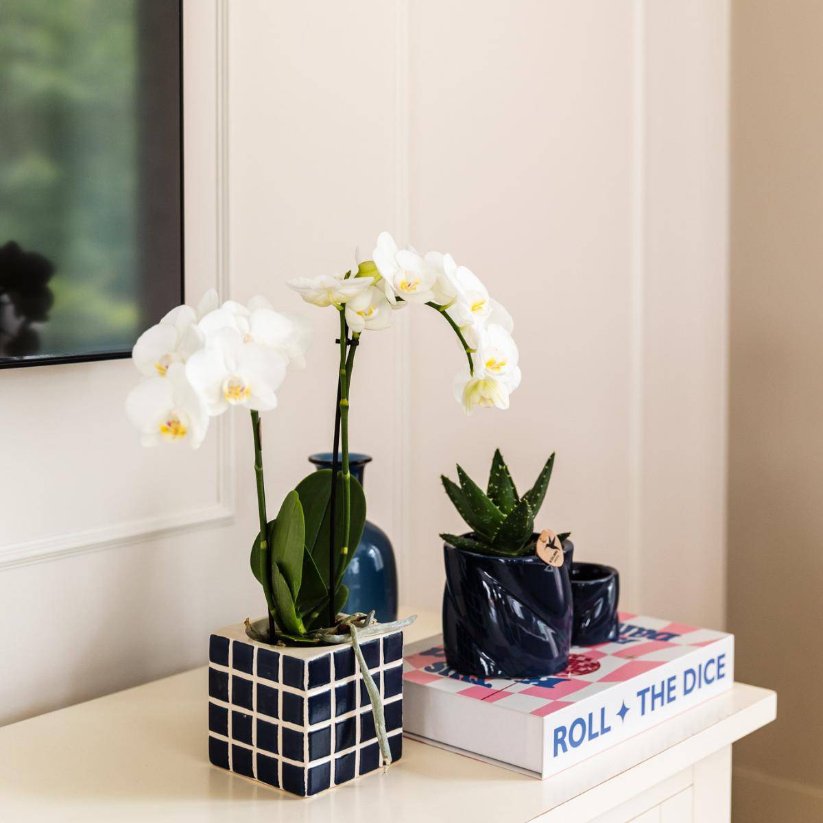 La Green Touch - Orchidée Amabilis Blanche et son pot- La Green Touch Bleu mosaique - Hauteur 35cm - Imagen 3
