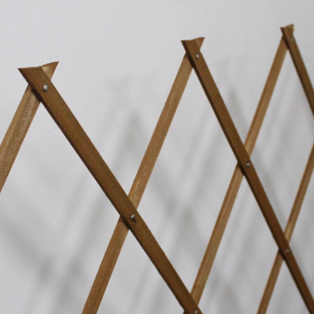 Comercial Candela - Treillis Bois| 100% Bois Pin Naturelle| 1X2M| Gardien Des Plantes| Résistant| Decoration Jardin - Imagen 6