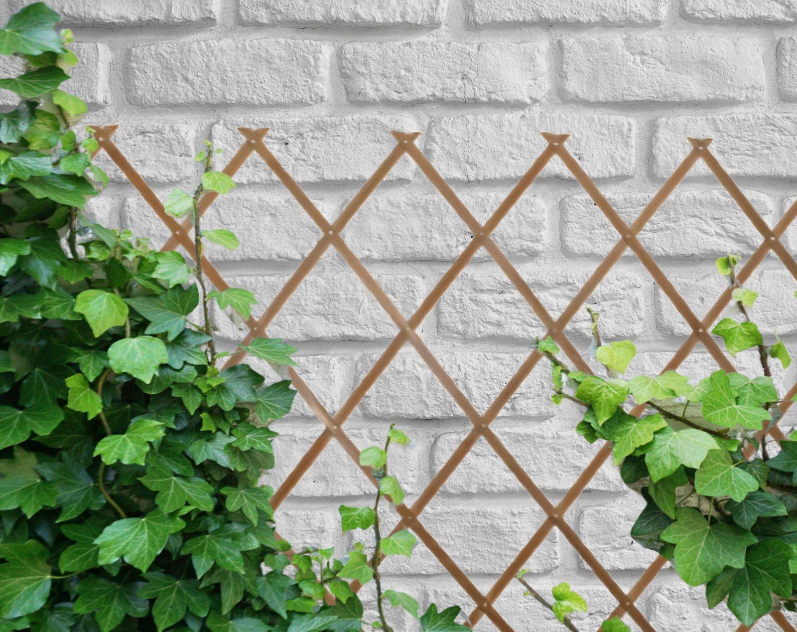 Comercial Candela - Treillis Bois| 100% Bois Pin Naturelle| 1X2M| Gardien Des Plantes| Résistant| Decoration Jardin - Imagen 9