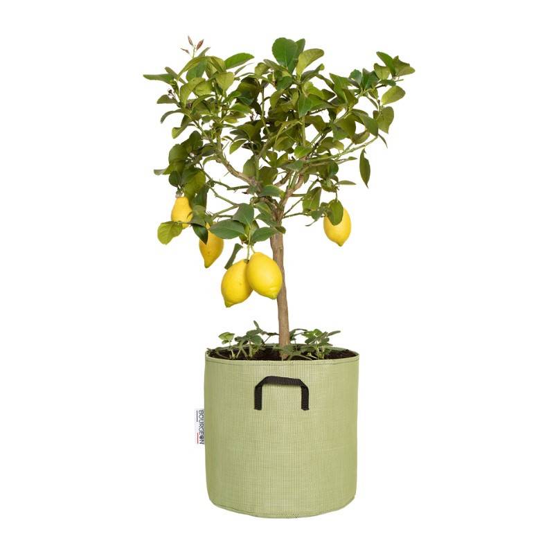 Bourgeon - Pot de plantation respirant 30 cm Vert - Bourgeon - Imagen 1