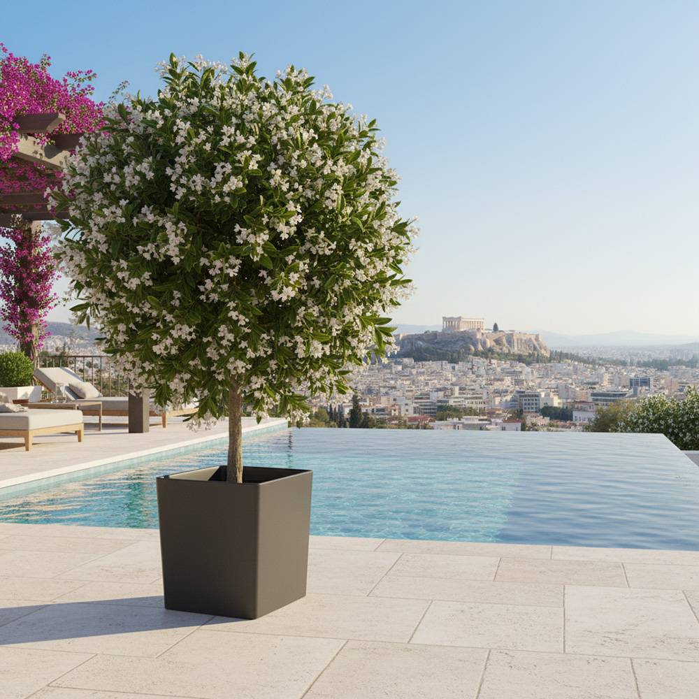 Pot de fleurs carré cubio h 50 cm-plast'up rotomoulage - Imagen 2