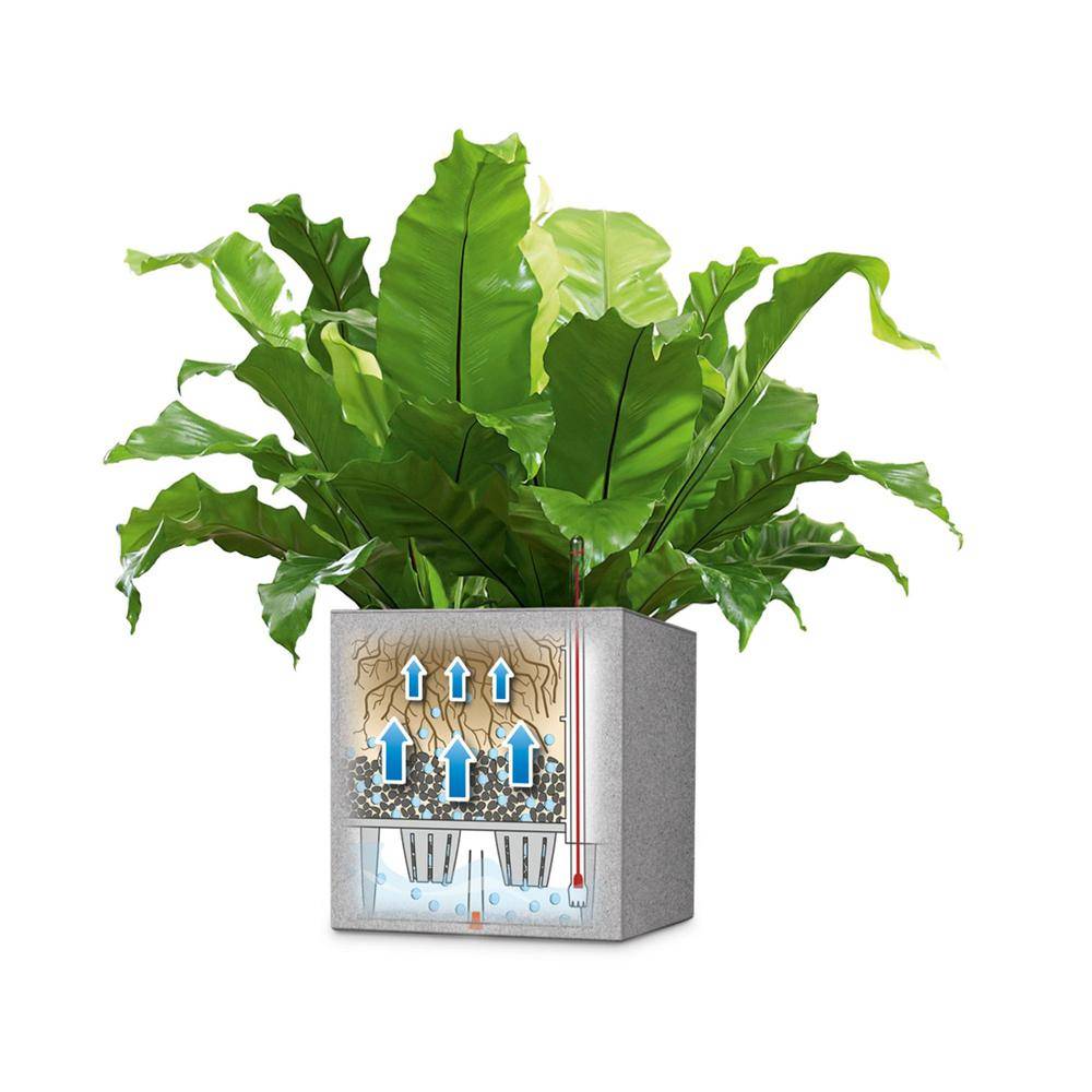 Lechuza - Pot Canto Color 30, noir graphite 3 L 30 cm Lechuza - Imagen 5