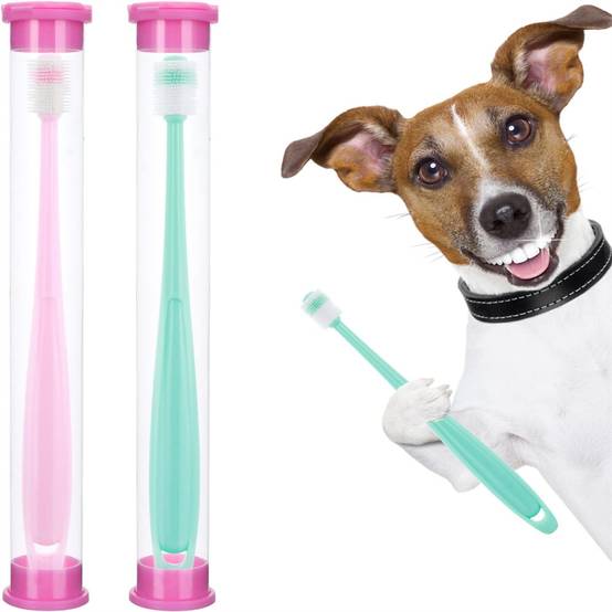 Brosses à dents 360° pour chiens et chats DtopbuyAge - Image 1
