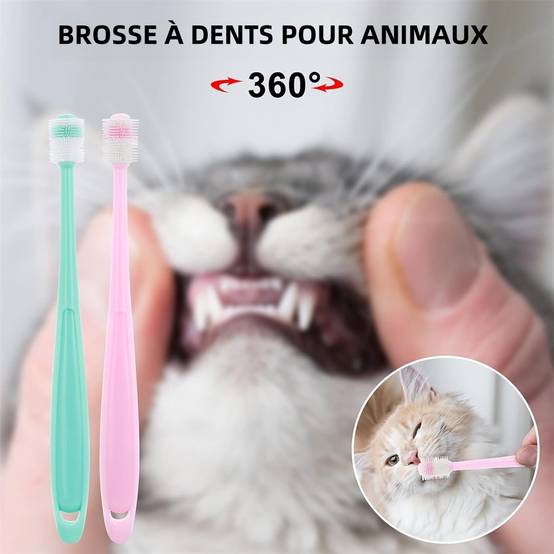Brosses à dents 360° pour chiens et chats DtopbuyAge - Image 4