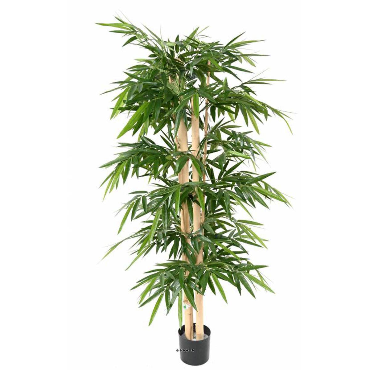 Artificielles - Bambou Artificiel grosses cannes en pot H 175 cm Vert - dimhaut: H 175 cm - couleur: Vert