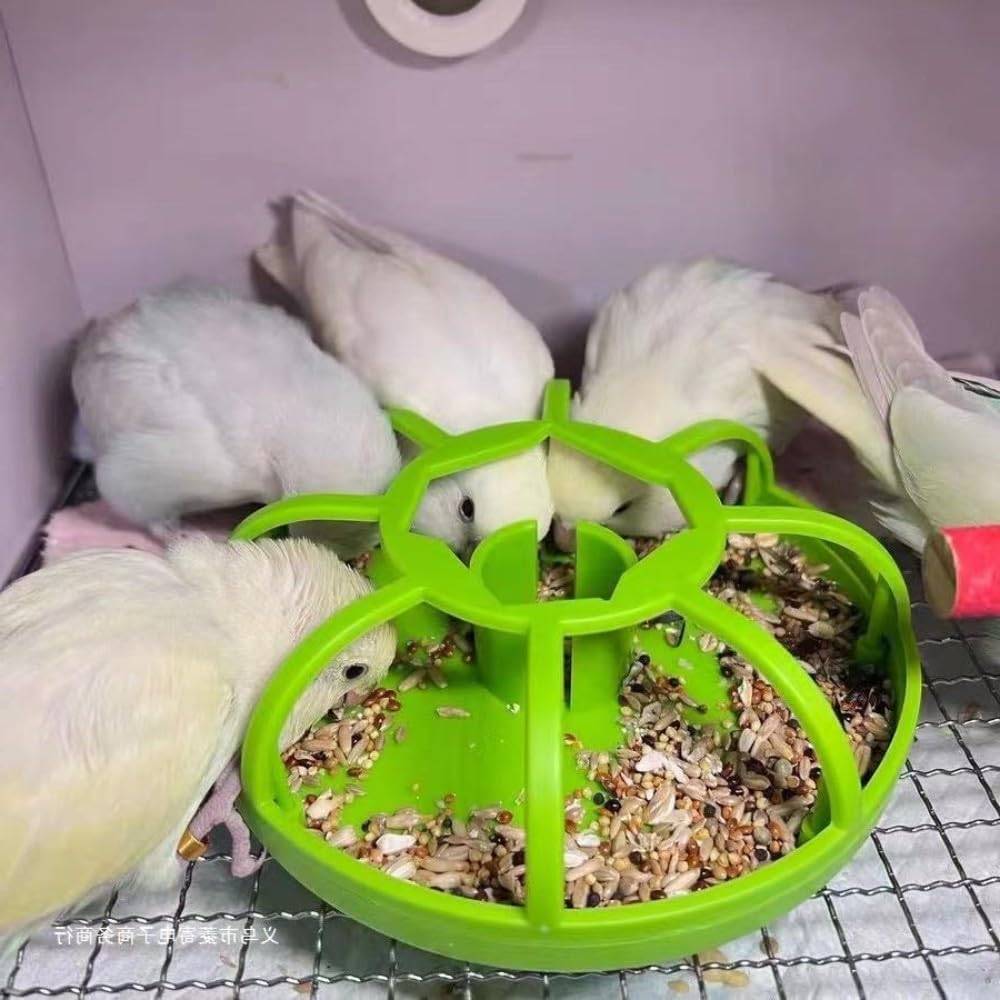 Mangeoire multifonctionnelle pour animaux de compagnie - IntiMeg - Image 2
