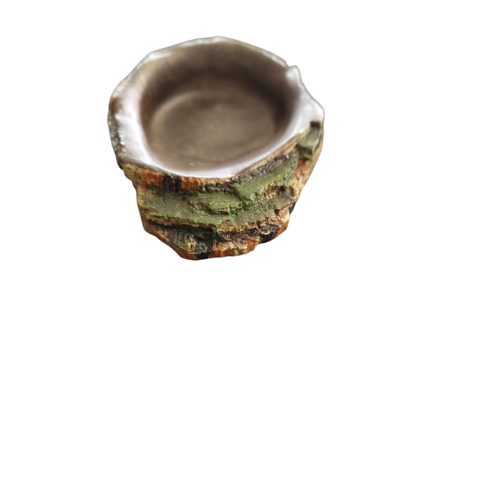 Trixie - Ecuelle pour eau et nourriture pour reptiles. 10 x 7.5 x 2.5cm - Imagen 5