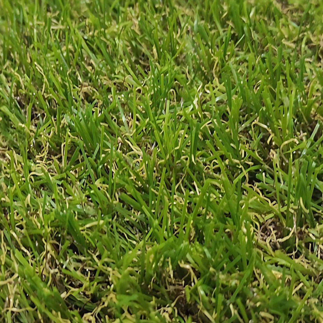 Gazon Synthétique 2X8M (Largeur X Longueur) Épaisseur 18MM Type Quatre-tons - Imagen 6
