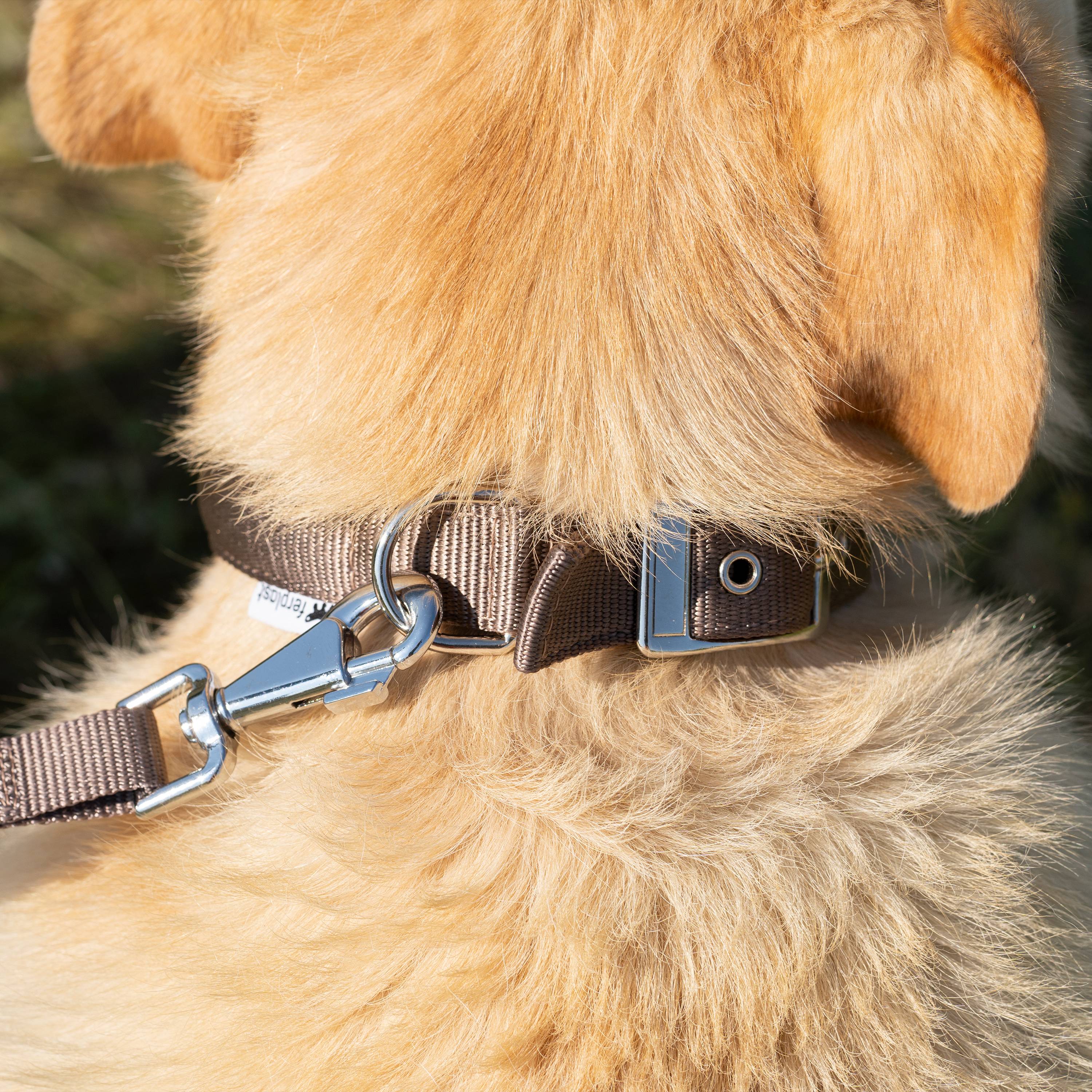 Ferplast - Collier chien chiens nylon souple rembourrage FERPLAST DAYTONA différentes tailles et couleurs - Imagen 4