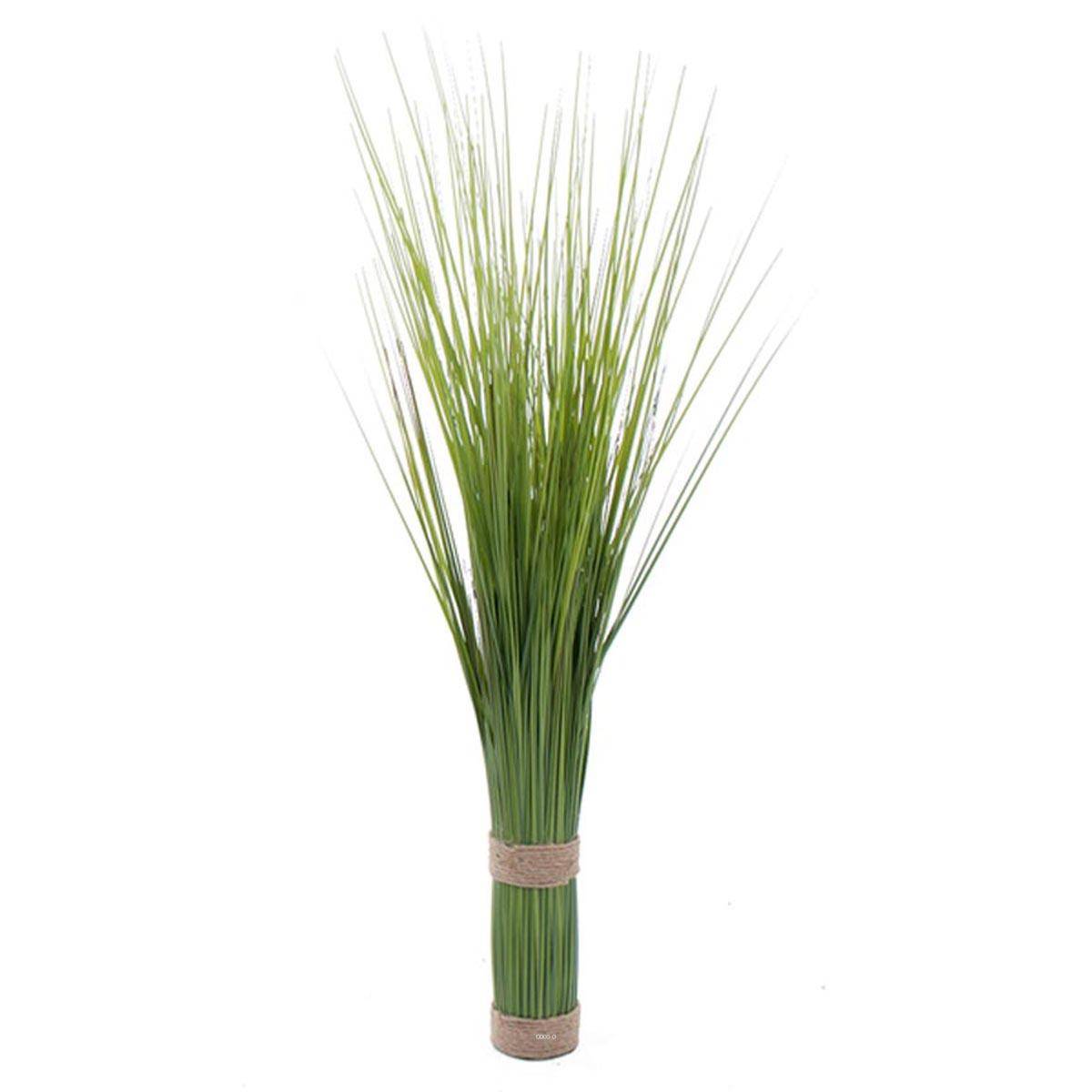 Artificielles - Isolepsis factice en botte finition large autoportant vert H60cm D25cm - dimhaut: H 60 cm - Imagen 1
