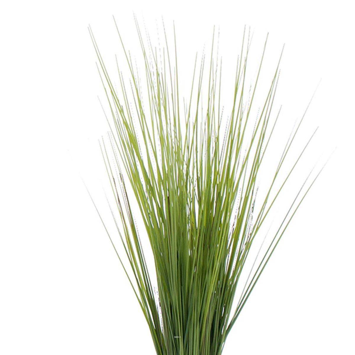Artificielles - Isolepsis factice en botte finition large autoportant vert H60cm D25cm - dimhaut: H 60 cm - Imagen 2