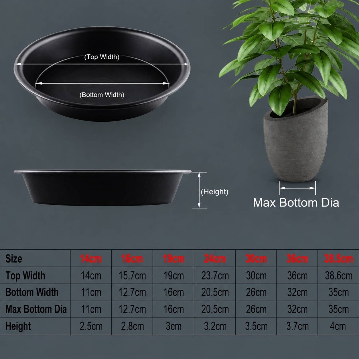 Soucoupes de Plantes Lot de 5 pour Pots Intérieur Extérieur Résistantes PP Épaisses - Image 2