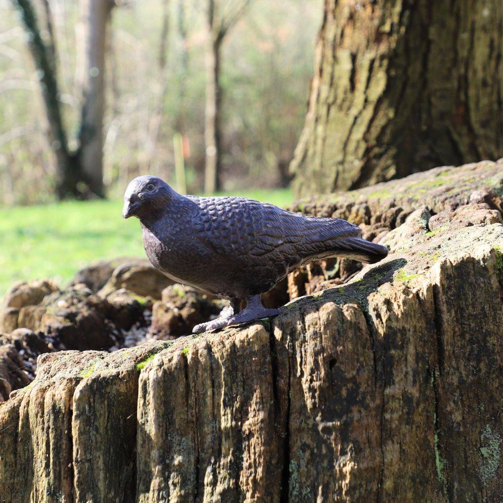 Pigeon en fonte marron 19 x 8 x 12 cm Chemin de campagne - Imagen 3