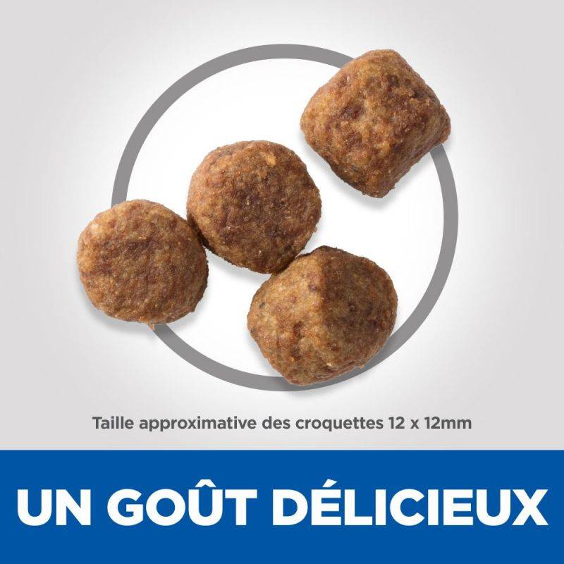 CROQUETTES CHIEN SCIENCE PLAN ADULT MATURE 7+ LIGHT POULET - HILL'S 14 kg - Image 5