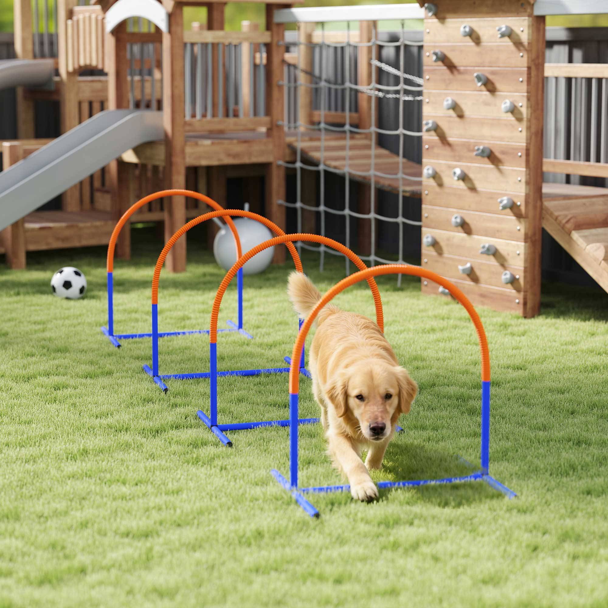 Kit d'agility pour chien plastique bleu orange 88 x 64 x 95 cm - PANGIVO - Image 3