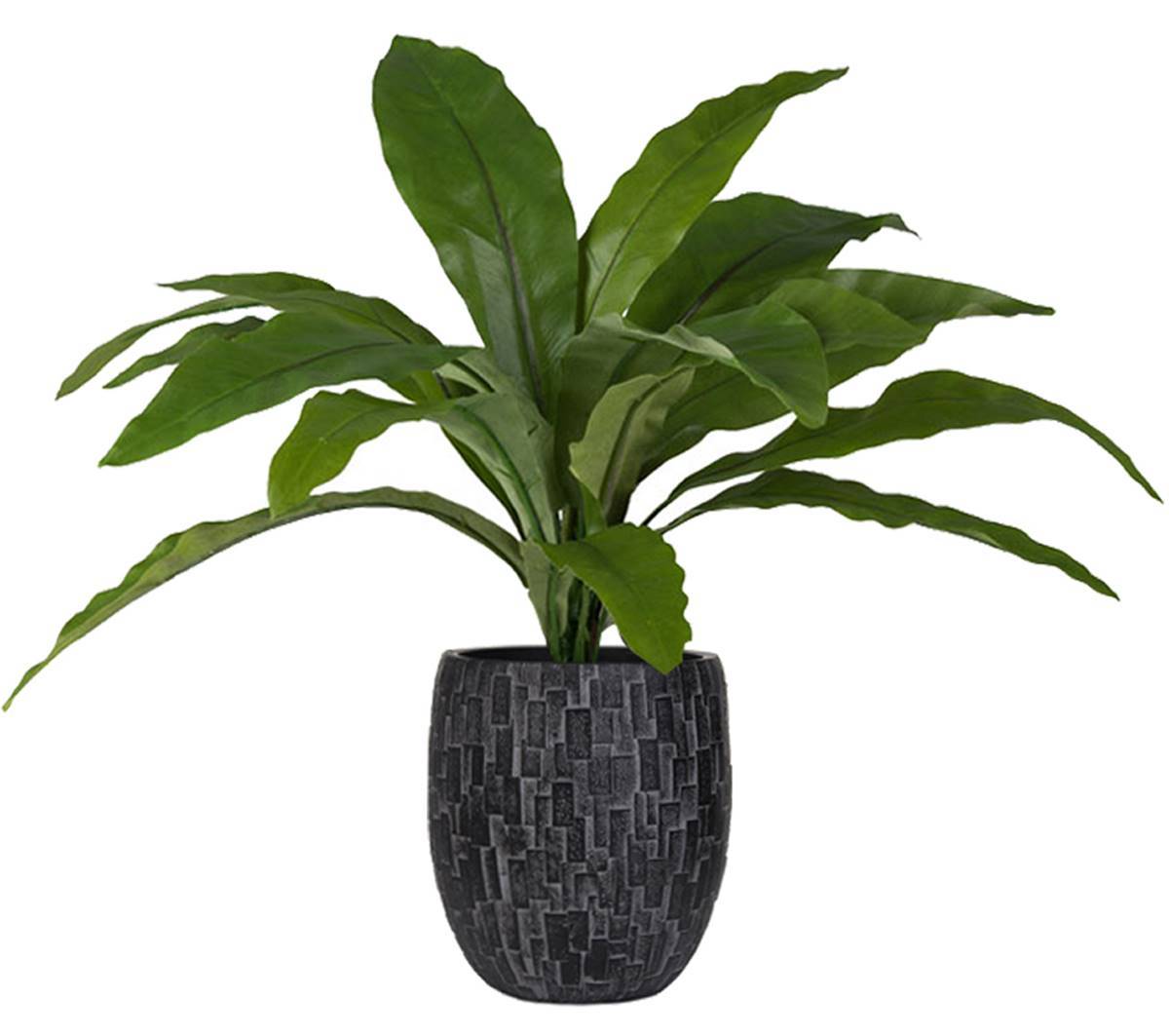 Fougère asplenium artificielle H 30 cm, D 39 cm - Image 2