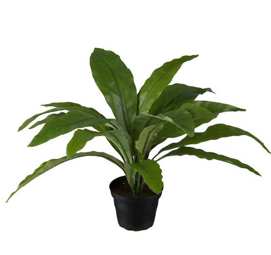 Fougère asplenium artificielle H 30 cm, D 39 cm - Image 1