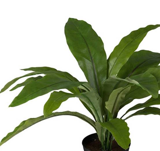 Fougère asplenium artificielle H 30 cm, D 39 cm - Image 3
