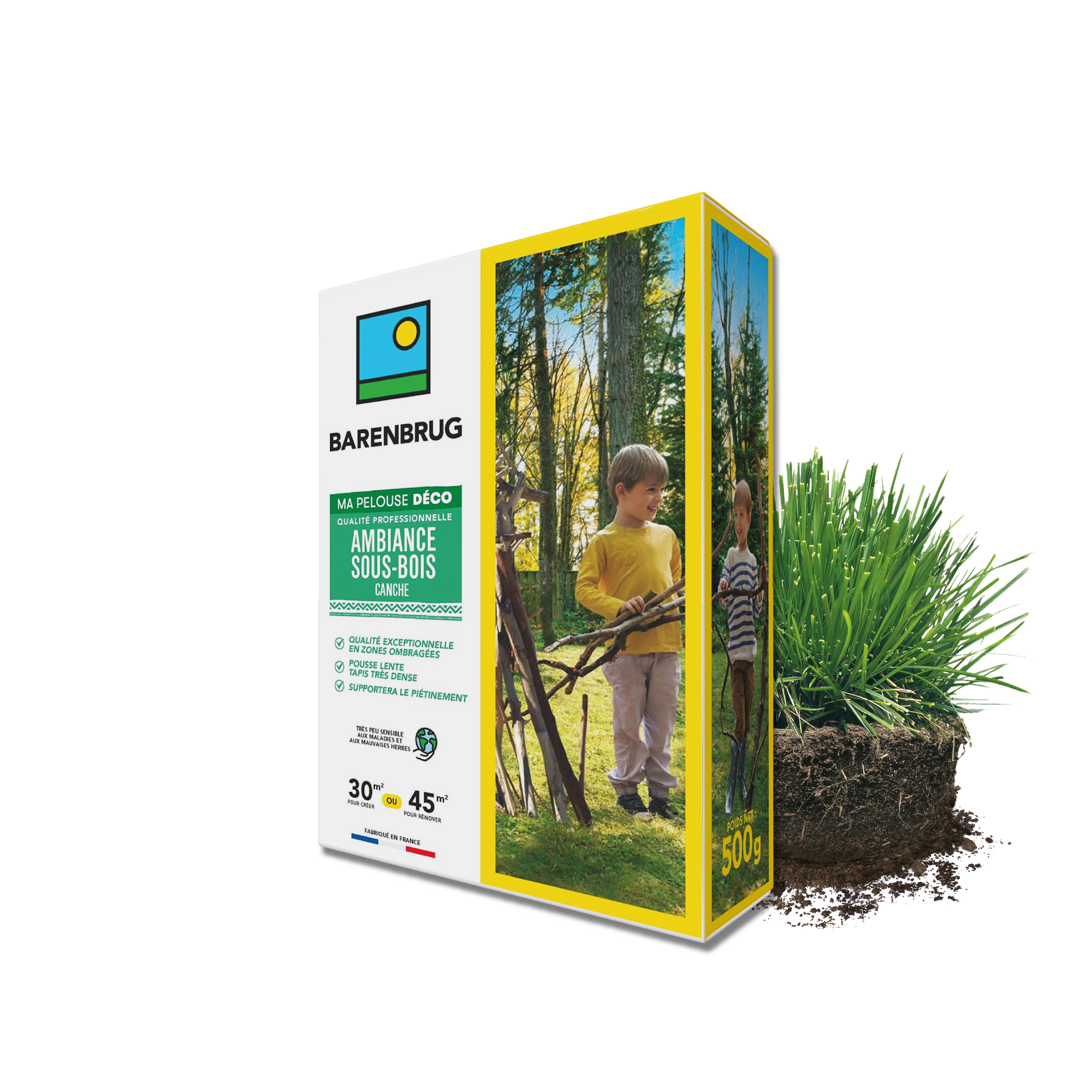 Barenbrug - Pelouse Ambiance Sous-bois - Canche - Spécial Zones Ombragées - Pousse Lente, Tapis Dense - Tolérant Piétinement - 500G - BARENBRUG