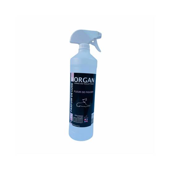 Parfum de luxe Bois d'orange - 1 L MORGAN