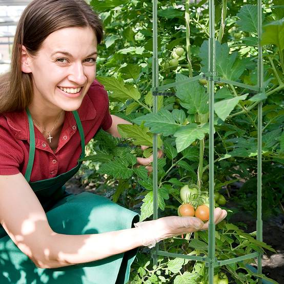 VEVOR Cages tomates jardin, lot 4, 160 cm, support treillis, plantes grimpantes. - Image 8