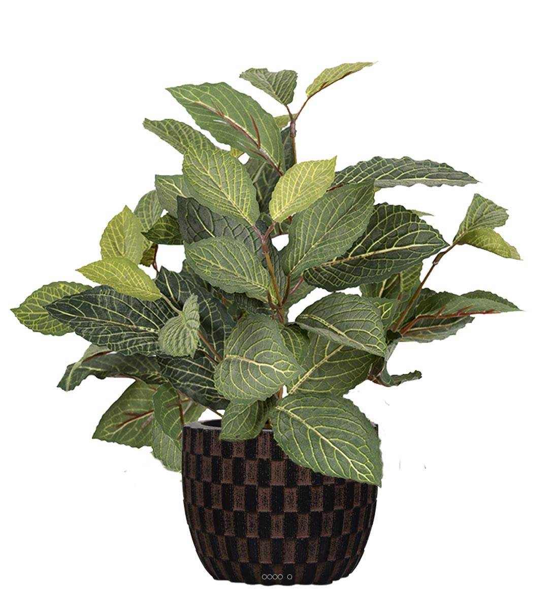 Artificielles - Fitonnia artificiel en pot, H 40 cm, D 40 cm Vert - couleur: Vert - Imagen 2
