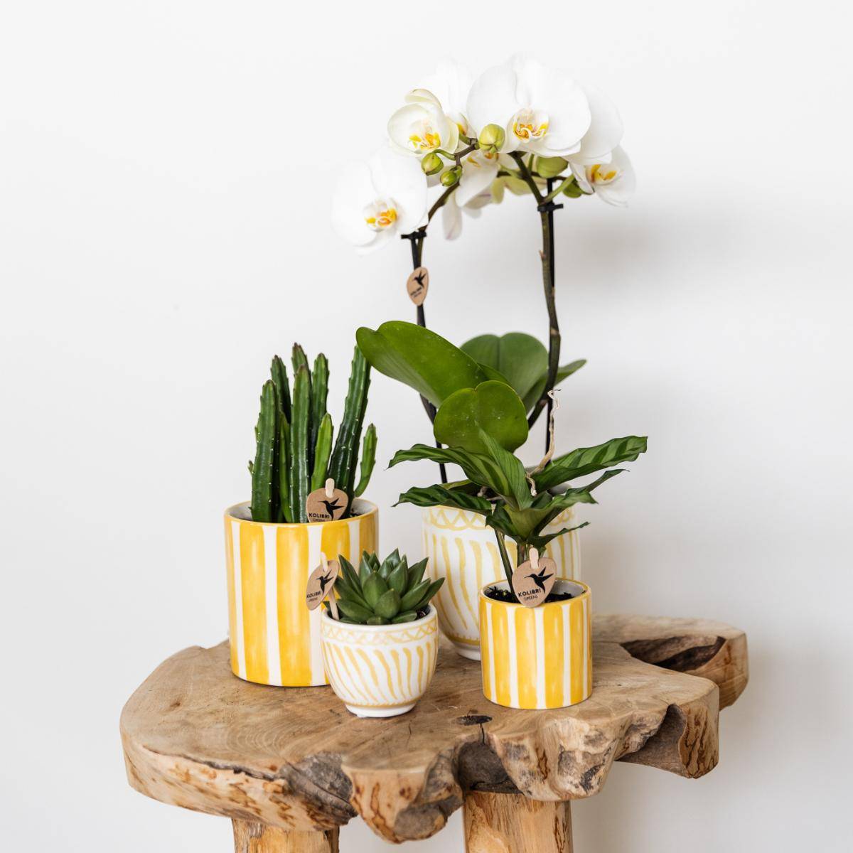Pot décoratif à rayures peintes - Jaune- La Green Touch - Image 5