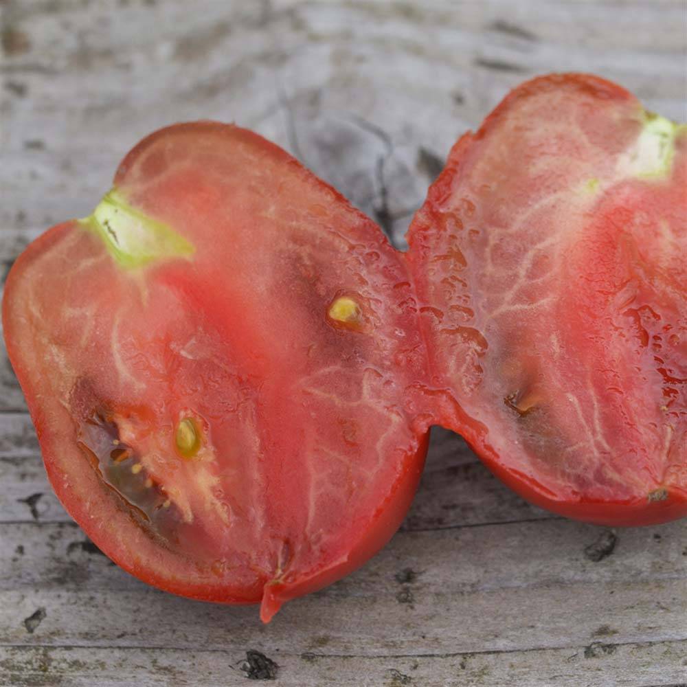 Tomate Purple Russian Bio - Ferme de Sainte Marthe le sachet de 50 graines environ