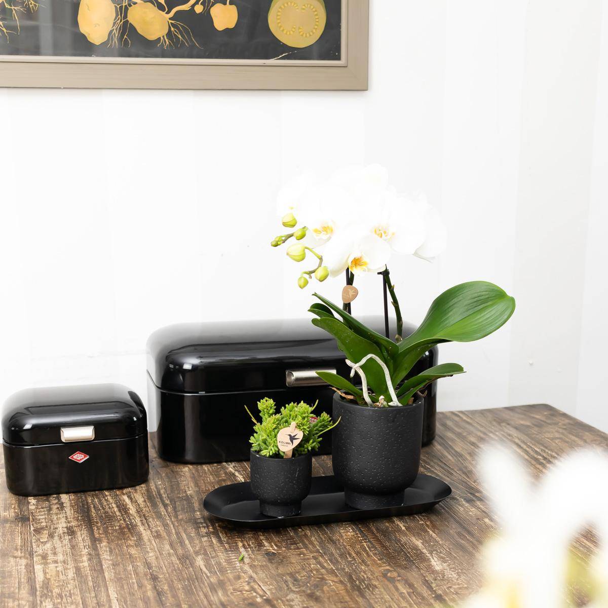 Plateau ovale Ø30cm - noir - Image 2