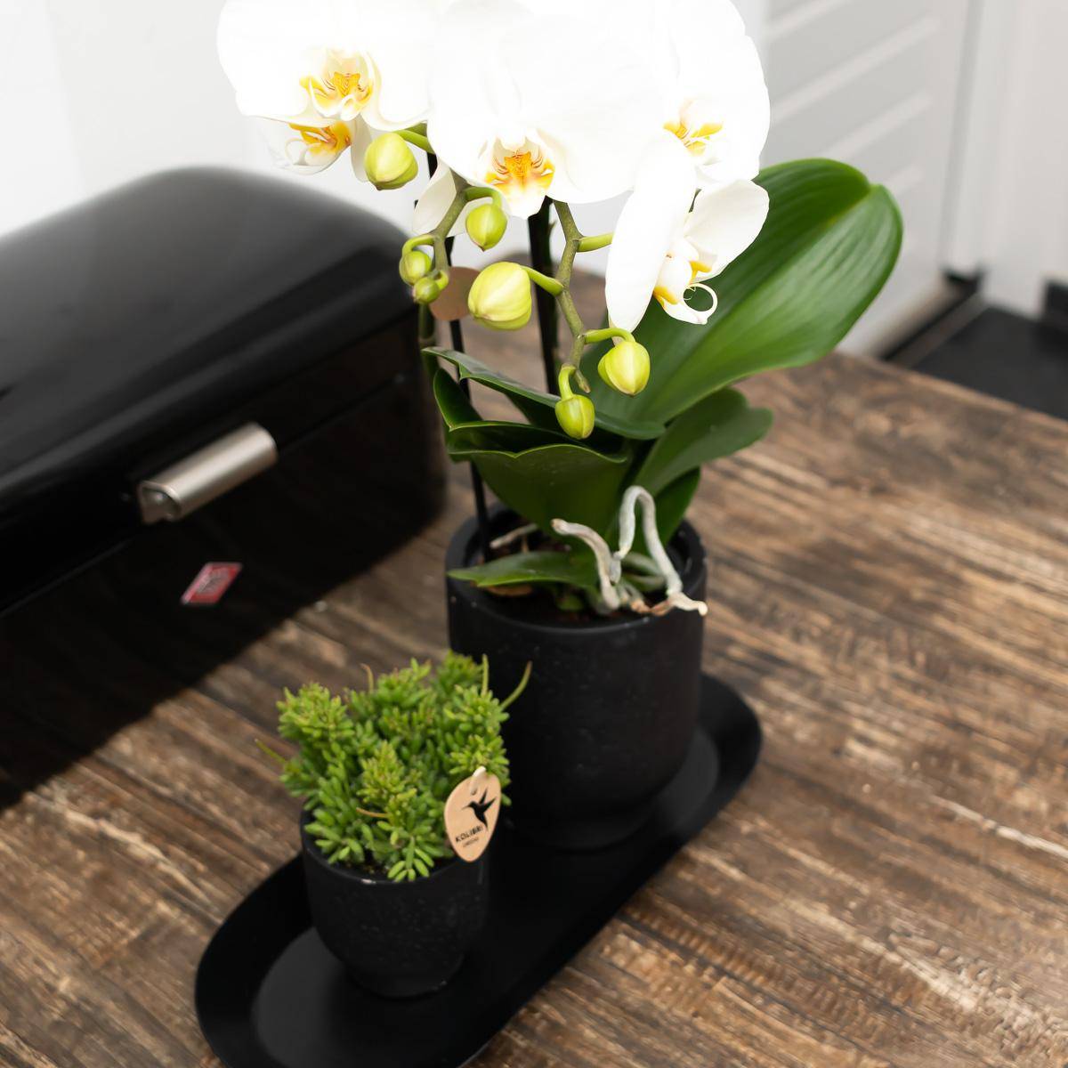 Plateau ovale Ø30cm - noir - Image 3
