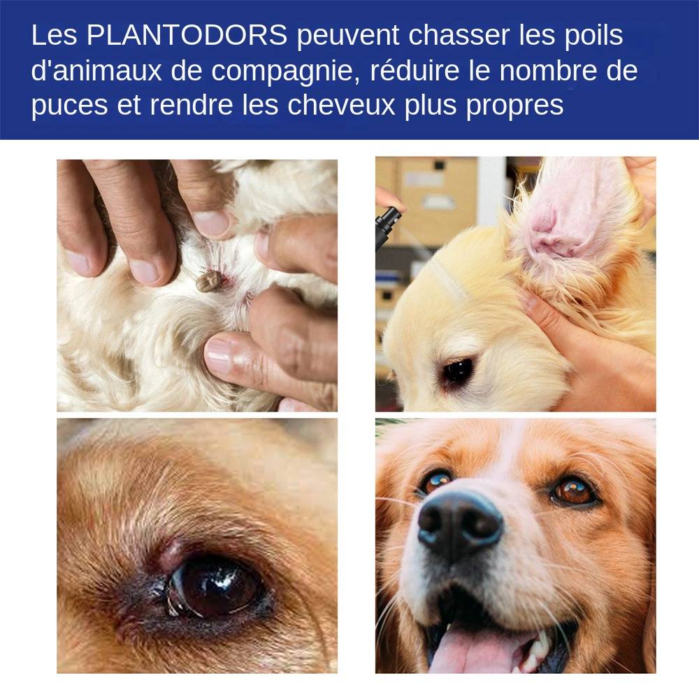 Spray anti - puces et tiques pour chats et chiens MCBOSON - Image 5