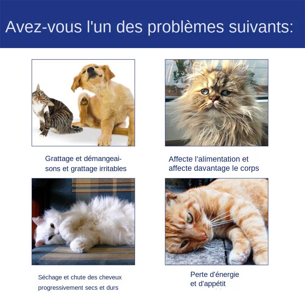 Spray anti - puces et tiques pour chats et chiens MCBOSON - Image 2