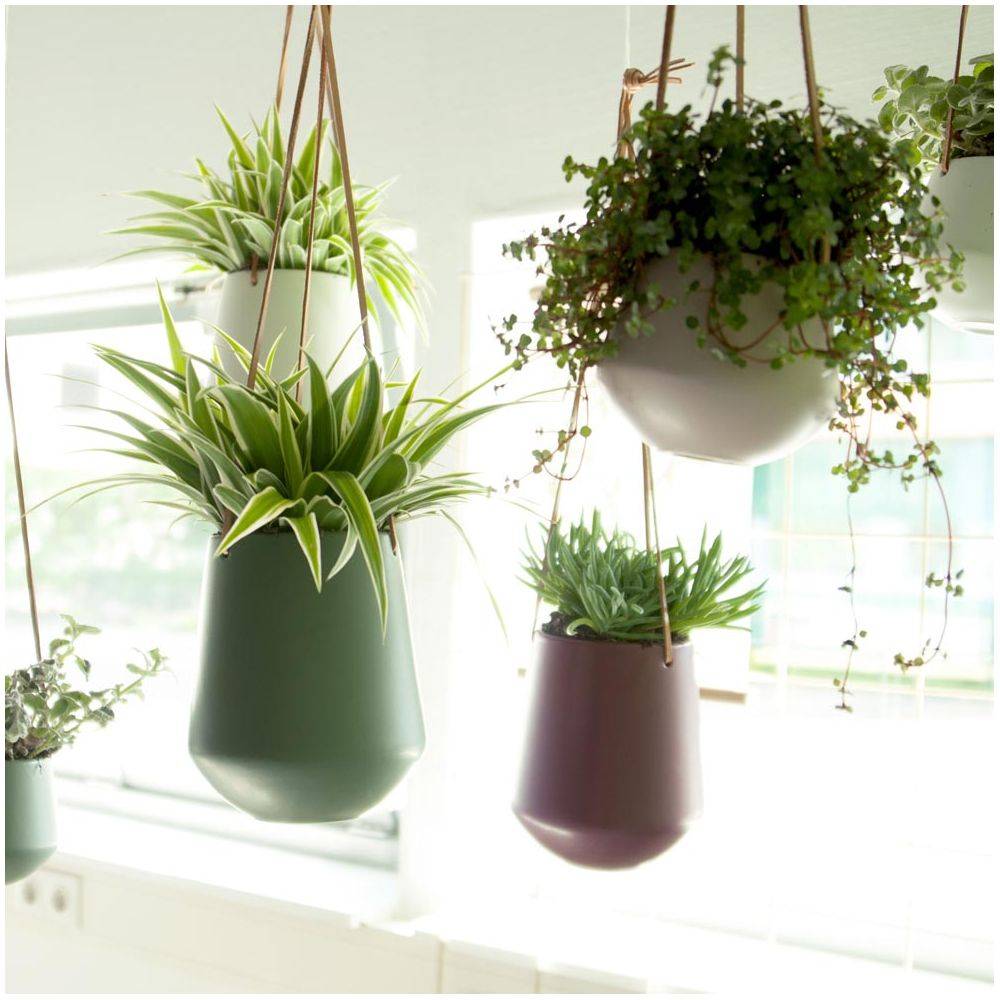 Pt Living - Support à plantes à suspendre Skittle small Rose - Imagen 2