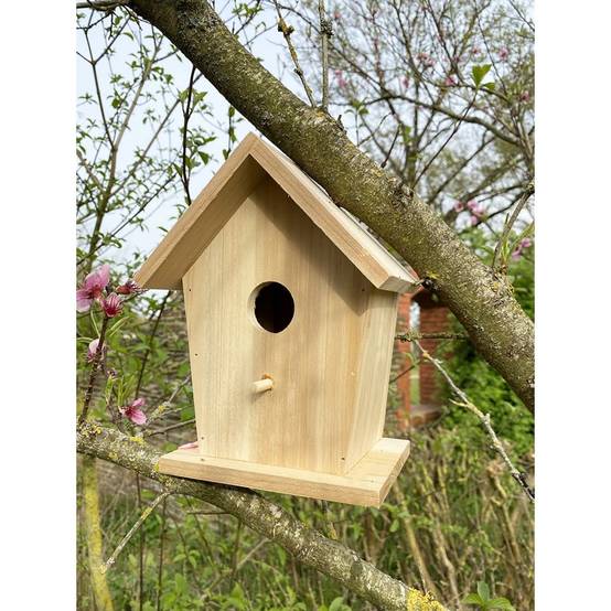 0 - Cabane à oiseaux - Image 2