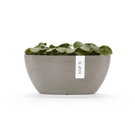 Ecopots - Pot Ovale Sofia 30 Taupe + réservoir d'eau - 30 x 13 x H. 13,5 cm - 2,7 L ECOPOTS - Imagen 3