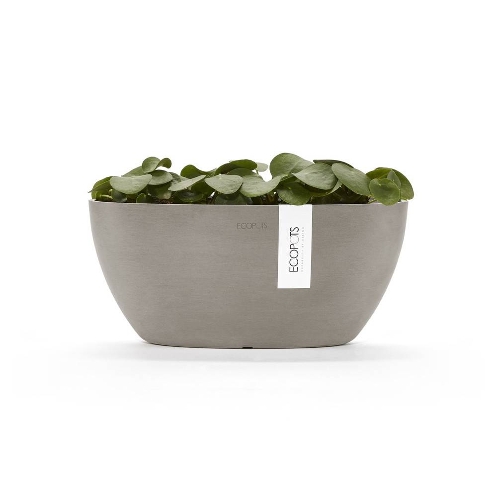 Ecopots - Pot Ovale Sofia 30 Taupe + réservoir d'eau - 30 x 13 x H. 13,5 cm - 2,7 L ECOPOTS - Imagen 3