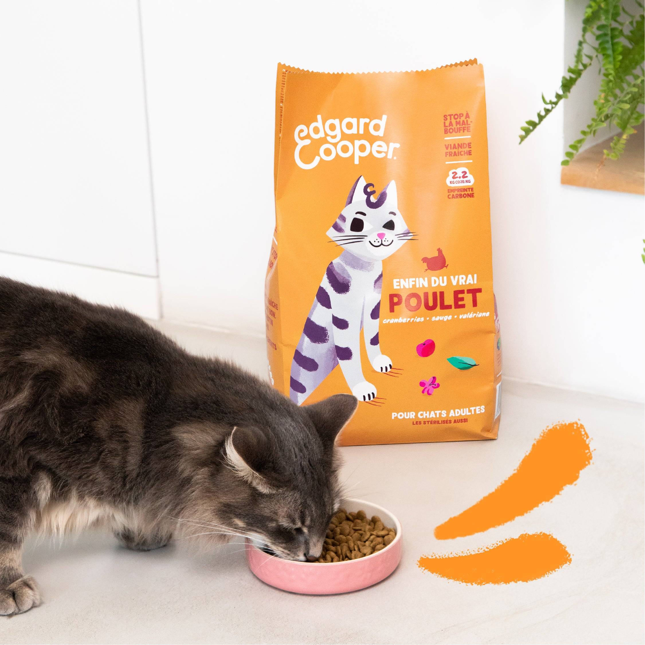 Edgard & Cooper - Edgard Cooper - Croquettes Sans Céréales au Poulet pour Chat - Image 2