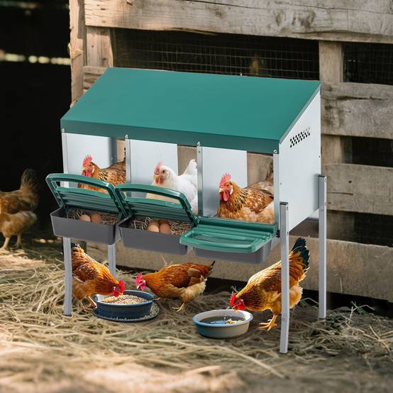 Oeuf Factice Pour Poule FINCA CASAREJO Pondoir Pour Poules 3 Faux œufs Et Guide Pratique | Nid à 3 Trous Pondoir Poules Pondeuses Oeuf Factice Pour Poule FINCA CASAREJO Pondoir Pour Poules 3 Faux œufs Et Guide Pratique | Nid à 3 Trous Pondoir Poules Pondeuses