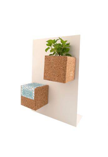 Life In A Bag - Life in a Bag - Grow Cube aimanté Pensée - Image 3